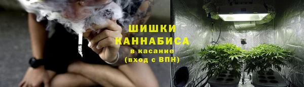 гидра Сафоново