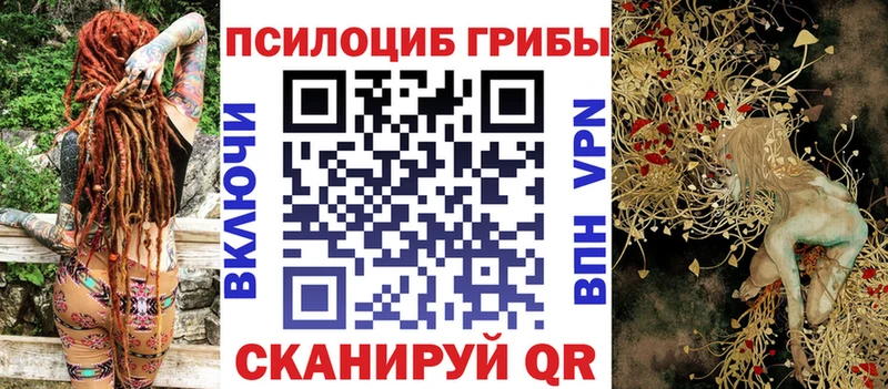 omg сайт  Белореченск  Галлюциногенные грибы Psilocybe 
